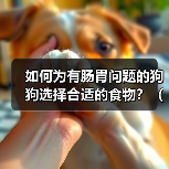 如何为有肠胃问题的狗狗选择合适的食物？（一份详细的饮食指南让你的狗狗肠胃健康）(图2)