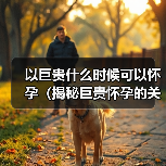 以巨贵什么时候可以怀孕（揭秘巨贵怀孕的关键因素及最佳时机）(图2)