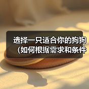 选择一只适合你的狗狗（如何根据需求和条件选择一只适合自己的狗狗）(图3)
