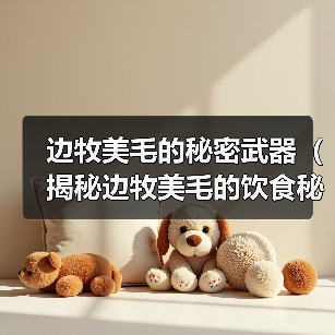 边牧美毛的秘密武器（揭秘边牧美毛的饮食秘籍）(图4)
