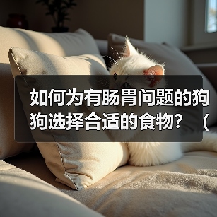 如何为有肠胃问题的狗狗选择合适的食物？（一份详细的饮食指南让你的狗狗肠胃健康）(图3)
