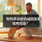 狗狗多动症的成因及表现有哪些？ - 新生家伴
