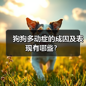 狗狗多动症的成因及表现有哪些？(图4)