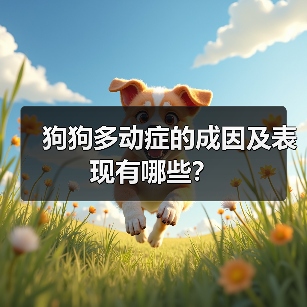 狗狗多动症的成因及表现有哪些？(图3)