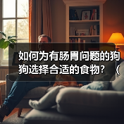 如何为有肠胃问题的狗狗选择合适的食物？（一份详细的饮食指南让 - 新生家伴