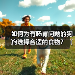 如何为有肠胃问题的狗狗选择合适的食物？（一份详细的饮食指南让你的狗狗肠胃健康）(图4)
