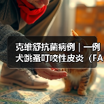 克维舒抗菌病例 | 一例犬跳蚤叮咬性皮炎(FAD)的病例分析(图4) 克维舒抗菌病例 | 一例犬跳蚤叮咬性皮炎(FAD)的病例分析(图4)