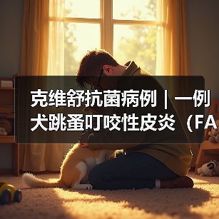 克维舒抗菌病例 | 一例犬跳蚤叮咬性皮炎(FAD)的病例分析(图3) 克维舒抗菌病例 | 一例犬跳蚤叮咬性皮炎(FAD)的病例分析(图3)
