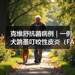 克维舒抗菌病例 | 一例犬跳蚤叮咬性皮炎(FAD)的病例分析(图2) 克维舒抗菌病例 | 一例犬跳蚤叮咬性皮炎(FAD)的病例分析(图2)