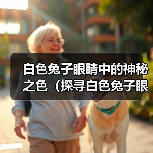白色兔子眼睛中的神秘之色（探寻白色兔子眼睛中的颜色奥秘）(图1)