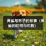 黄雀与苏子的故事（黄雀的聪明与机智）(图2)