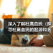 深入了解杜高血统(探寻杜高血统的起源和多样性)(图2) 深入了解杜高血统(探寻杜高血统的起源和多样性)(图2)