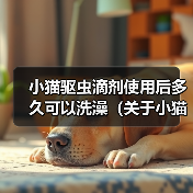 小猫驱虫滴剂使用后多久可以洗澡（关于小猫使用驱虫滴剂后的洗澡时间及注意事项）(图2)