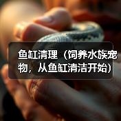 鱼缸清理（饲养水族宠物，从鱼缸清洁开始）