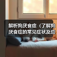 解析狗厌食症(了解狗厌食症的常见症状及应对方法)(图4) 解析狗厌食症(了解狗厌食症的常见症状及应对方法)(图4)