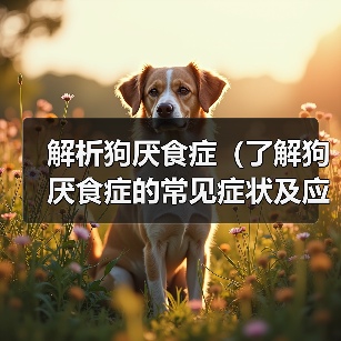 解析狗厌食症(了解狗厌食症的常见症状及应对方法)(图2) 解析狗厌食症(了解狗厌食症的常见症状及应对方法)(图2)