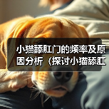 小猫舔肛门的频率及原因分析（探讨小猫舔肛门的行为习惯和健康问题）(图4)