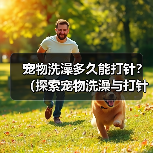 宠物洗澡多久能打针？（探索宠物洗澡与打针的最佳时间间隔）(图3)