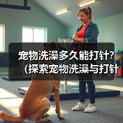 宠物洗澡多久能打针？（探索宠物洗澡与打针的最佳时间间隔）(图1)