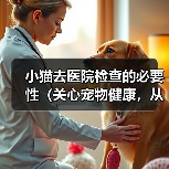 小猫去医院检查的必要性（关心宠物健康，从