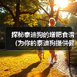 探秘泰迪狗的增肥食谱(为你的泰迪狗提供健康的增重饮食方案)(图2) 探秘泰迪狗的增肥食谱(为你的泰迪狗提供健康的增重饮食方案)(图2)