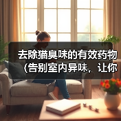 去除猫臭味的有效药物（告别室内异味，让你