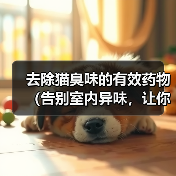 去除猫臭味的有效药物（告别室内异味，让你的家永远清新宜人）(图4)
