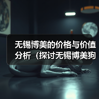 无锡博美的价格与价值分析（探讨无锡博美狗狗在市场上的定价以及其所提供的价值）(图3)