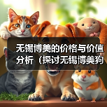 无锡博美的价格与价值分析（探讨无锡博美狗狗在市场上的定价以及其所提供的价值）(图2)