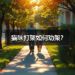 猫咪打架如何劝架？(图2)
