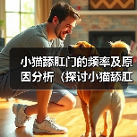 小猫舔肛门的频率及原因分析（探讨小猫舔肛