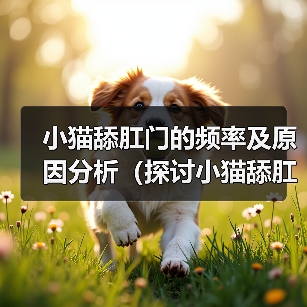 小猫舔肛门的频率及原因分析（探讨小猫舔肛门的行为习惯和健康问题）(图3)