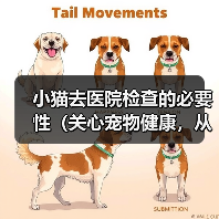 小猫去医院检查的必要性（关心宠物健康，从小猫开始）(图2)