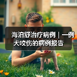 海泊舒治疗病例 | 一例犬咬伤的病例报告(图2)