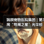 瑞辰宠物医院集团 | 第3周“每周之星”光荣榜(图2)