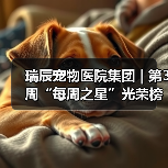 瑞辰宠物医院集团 | 第3周“每周之星”光荣榜 - 新生家伴