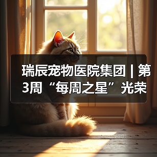 瑞辰宠物医院集团 | 第3周“每周之星”光荣榜(图3)