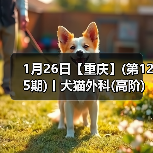 1月26日【重庆】(第125期)丨犬猫外科(高阶)班！含SUB(人人可实操)、乳糜胸等技术！(图3)