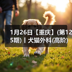 1月26日【重庆】(第125期)丨犬猫外