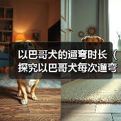以巴哥犬的遛弯时长（探究以巴哥犬每次遛弯的最佳时长）(图2)