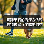 狗狗结石的治疗方法和药物选择(了解狗狗结石的发病原因,合理用药是关键)(图2) 狗狗结石的治疗方法和药物选择(了解狗狗结石的发病原因,合理用药是关键)(图2)