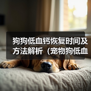 狗狗低血钙恢复时间及方法解析（宠物狗低血钙问题分析与解决方案探讨）(图2)