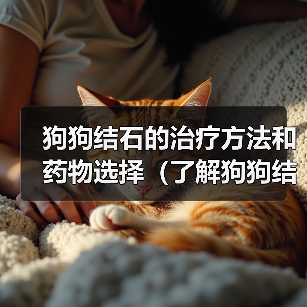 狗狗结石的治疗方法和药物选择(了解狗狗结石的发病原因,合理用药是关键)(图4) 狗狗结石的治疗方法和药物选择(了解狗狗结石的发病原因,合理用药是关键)(图4)