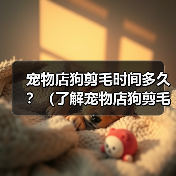 宠物店狗剪毛时间多久？（了解宠物店狗剪毛所需时间及影响因素）(图2)