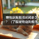 宠物店狗剪毛时间多久？（了解宠物店狗剪毛所需时间及影响因素）(图4)