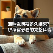 猫咪发情期多久结束?铲屎官必看的完整科普(图1) 猫咪发情期多久结束?铲屎官必看的完整科普(图1)