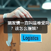 猫发情一直叫是难受吗？该怎么缓解？(图4)
