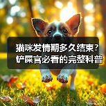 猫咪发情期多久结束?铲屎官必看的完整科普(图3) 猫咪发情期多久结束?铲屎官必看的完整科普(图3)