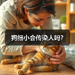 狗细小会传染人吗？(图2)