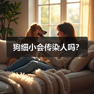 狗细小会传染人吗？(图4)